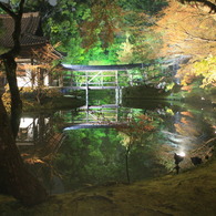 高台寺の鏡池
