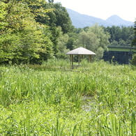 御所湖広域公園尾入野湿生植物園4