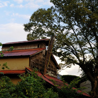 我が町百年楡の木と古納屋