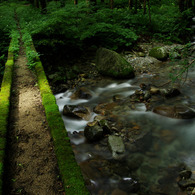 苔むした橋