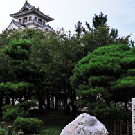 長浜旅情　天下取りへ！