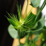 IMGP0144