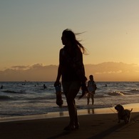 Evening Breeze