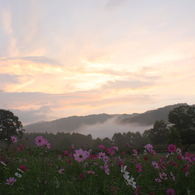 開田の朝焼け