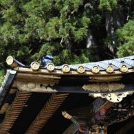 日光２