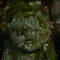 苔生すまで２