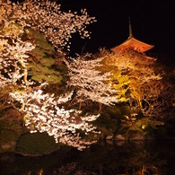 Japan Beautiful