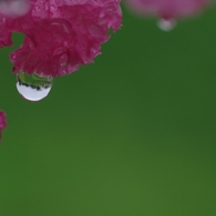 水晶玉