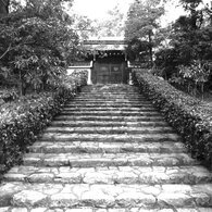 門
