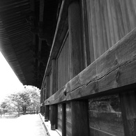 東寺