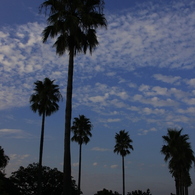 夕刻