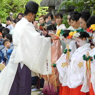 DSCN5996