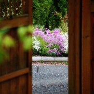 白野江植物公園