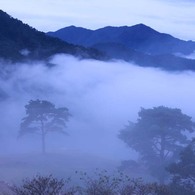 竹田城跡(雲海005)