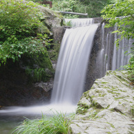 IMGP3379