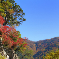 大白川　錦秋Ⅱ