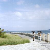 海岸線の日常