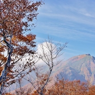 谷川岳天神平05