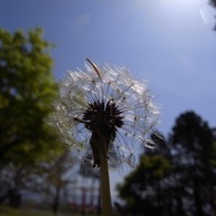 空に向かって