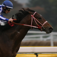 2010年京王杯2歳S グランプリボス