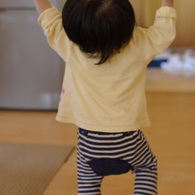 をどり