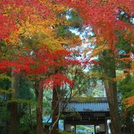 油山寺