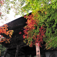 京都　三尾巡り　高雄山神護寺Ⅰ
