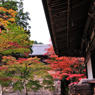 京都　三尾巡り　高雄山神護寺Ⅲ