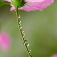 水玉エスカレーター