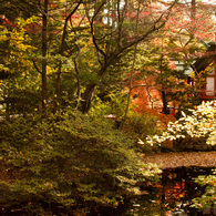 戌の日　お参り