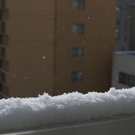 札幌のキラキラ☺