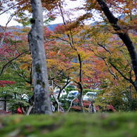紅葉18