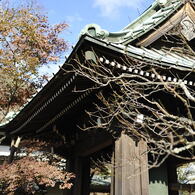 海蔵寺#15