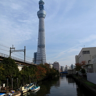 川辺のスカイツリー