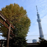 新旧融合