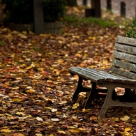 Fall bench
