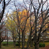 城址公園