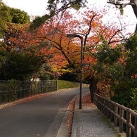 曲がり道
