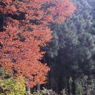 111105-1-85_0003