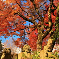 羅漢と紅葉