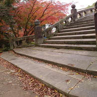 晩秋の諫早公園