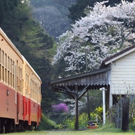 春の月崎駅