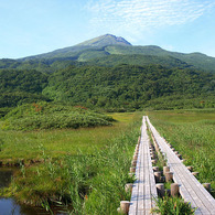 竜ヶ原湿原