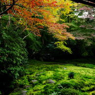 瑠璃光院