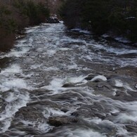 湖に向かって駆け降りろ！