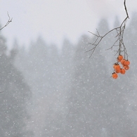 粉雪
