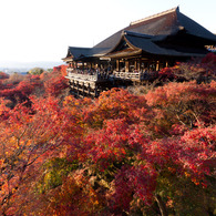 清水寺の紅葉