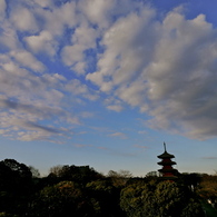 池上本門寺展望台から望