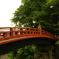 サル