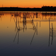 印旛沼　- 朝陽を待ちわびて -